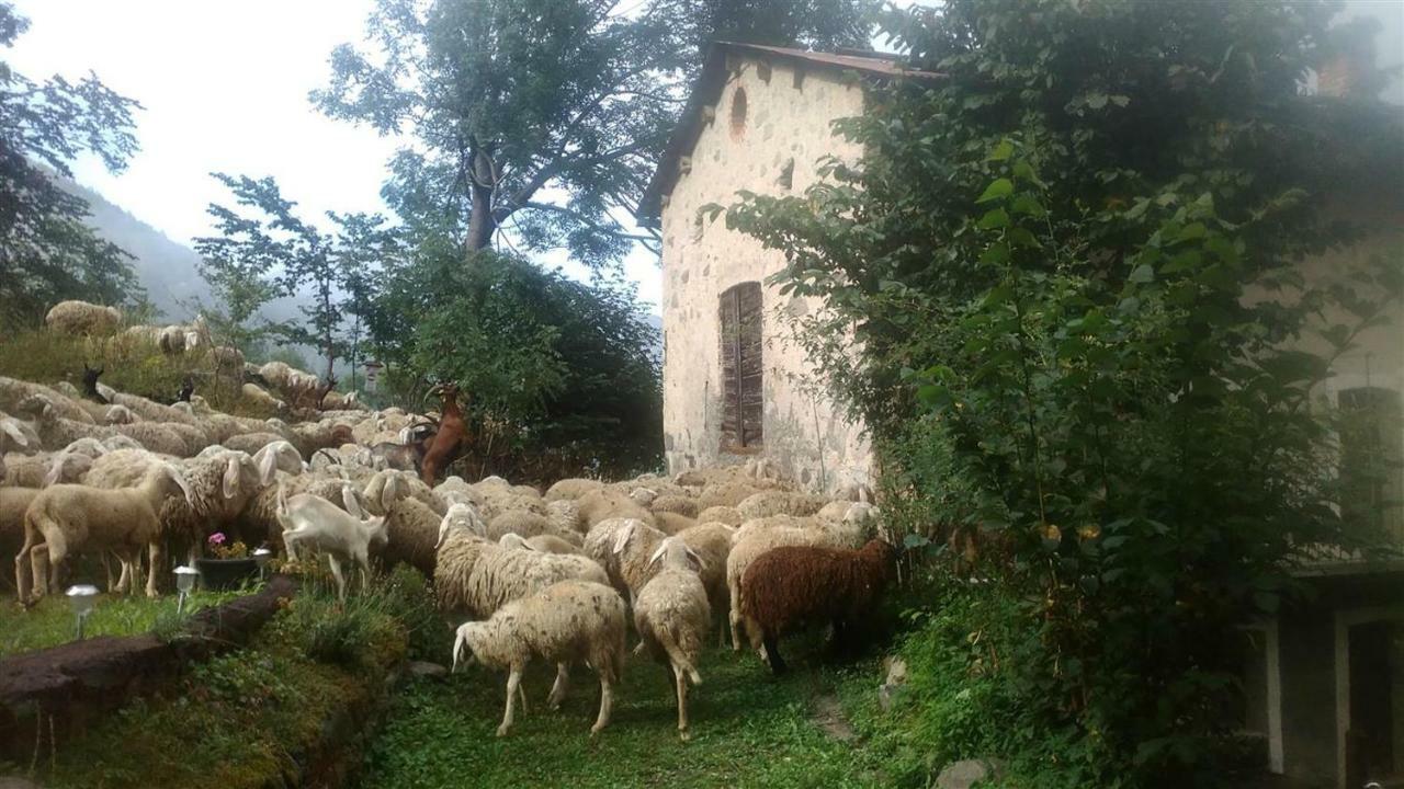B&B L'Abric - Centro Storico Di Limonetto ลีโมเน เปียมอนเต ภายนอก รูปภาพ